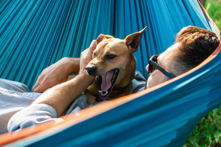 Mann mit Hund auf der Couch, Hund hat offenes Maul