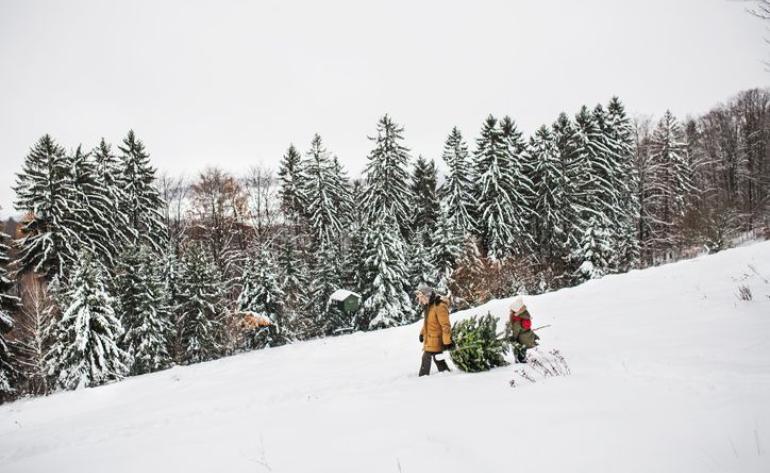 Tiefverschneite Landschaft, ein Erwachsener und ein Kind tragen einen Weihnachtsbaum aus dem Wald