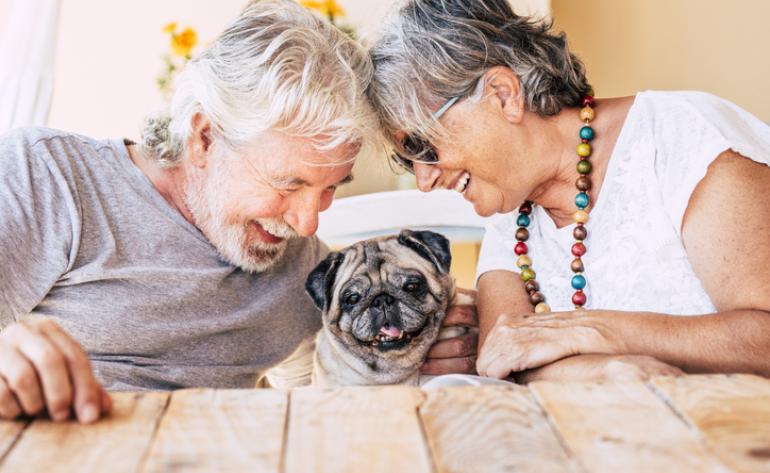 Älteres Ehepaar mit Hund auf der Couch